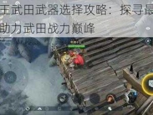 猎手之王武田武器选择攻略：探寻最佳武器搭配，助力武田战力巅峰