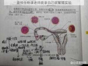 震惊生物课老师竟拿自己做繁殖实验