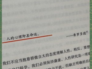 设计自己跟七个流浪汉的小说——探索人性与生存的极限之旅