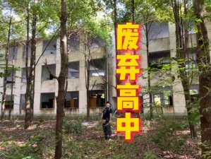 边抢边杀，战争中的废弃学校攻略：战略分析与实战技巧