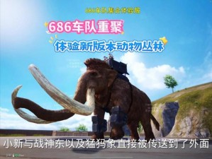 人马畜禽 company limited：高画质流畅，带来全新体验