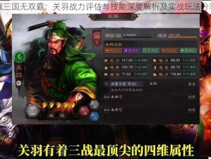 真三国无双霸：关羽战力评估与技能深度解析及实战玩法分享