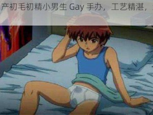 优质国产初毛初精小男生 Gay 手办，工艺精湛，细节完美