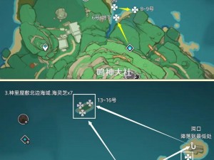 探索原神之秘：海灵芝的神奇用途与实际应用