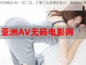 国产中的精品 AV 一区二区，汇聚了众多精彩影片，满足您的各种需求