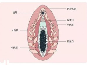 搡老熟女老女人一区二区：成人情趣用品，带来极致体验