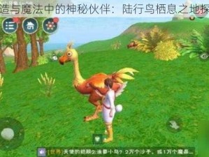 创造与魔法中的神秘伙伴：陆行鸟栖息之地探寻