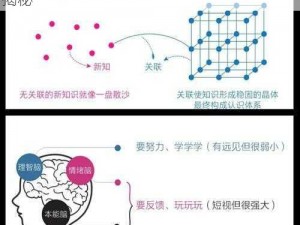 一小时人生的极速成长之路：高效升级策略揭秘