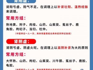 肾虚十连 APP 下载——一款专业的肾虚调理软件，提供全面的肾虚治疗方案