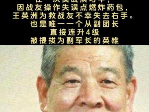 超级英雄老兵的无畏经验：战斗历程与智慧传承