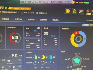 暴躁老阿姨 CS-GO 新手技巧——教你快速提升游戏水平