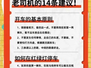 老司机在线ae85—老司机在线 ae85：教你如何成为驾驶高手