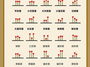 探寻香道之趣：香道文化简介与体验分享