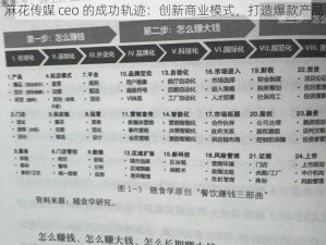 麻花传媒 ceo 的成功轨迹：创新商业模式，打造爆款产品