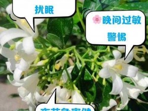 女性半夜莲花开的意思【女性半夜莲花开是怎么回事？】