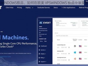 欧美VPSWINDOWS极品、如何在欧美 VPSWINDOWS 极品中享受极致体验？