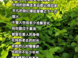 终究难以逃脱受伤的命运：一首歌的深刻解读