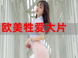 欧美叉叉叉BBB网站(探索欧美叉叉叉 BBB 网站：精彩无限还是暗藏风险？)