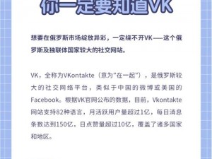 如何下载 VK 网页版：一款俄罗斯知名社交网站，需通过官方网站下载