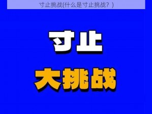 寸止挑战(什么是寸止挑战？)