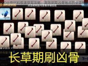 FGO凶骨材料极速获取攻略：高效刷取凶骨地点的全面解析