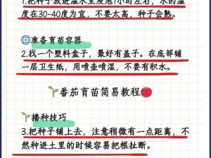 全民农场西红柿种植攻略：从育苗到收获的全程指南