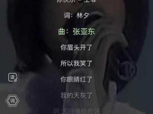 来吧儿子妈妈是你的人是什么歌曲;来吧儿子，妈妈是你的人是什么歌曲？