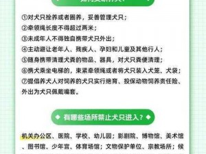 专家建议制定统一烈性犬禁养名单，强化犬类管理，保障公共安全与社区和谐