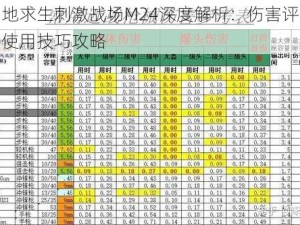 绝地求生刺激战场M24深度解析：伤害评估与使用技巧攻略