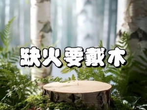 华夏生活之炊火篇：生火操作的详细指南