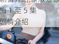 新版金银梅1至5集剧情介绍,新版金银梅 1 至 5 集剧情介绍