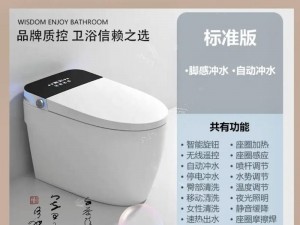 china 公厕 toilet 女厕 12 智能坐便器，干净卫生，使用方便