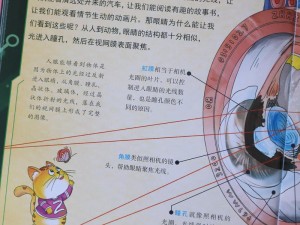 子豪教学漫画：趣味科普，让学习变得轻松有趣