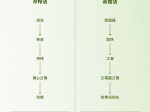 真相揭秘：关于真要写的核心内容预览与截图解析