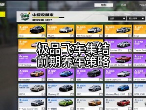 《极品飞车19：深度解析外观改装技巧》