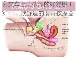 公交车上荫蒂添的好舒服 TXT：一款舒适的荫蒂按摩器