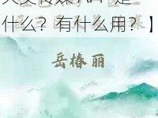 天美传媒APP介绍【天美传媒 APP 是什么？有什么用？】