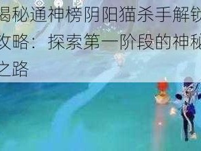 揭秘通神榜阴阳猫杀手解锁攻略：探索第一阶段的神秘之路