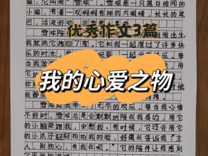 我的女同桌作文 200 字之她的文具好物分享