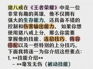 闹闹天宫背景下猪八戒的顶尖上分装备搭配策略解析