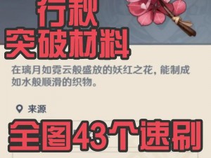 胡桃缺乏行秋支持如何应对？策略分析与替代方案探索