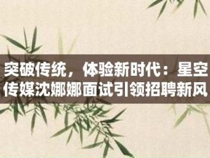 星空传媒的沈娜娜面试功能介绍——让你全面了解产品优势