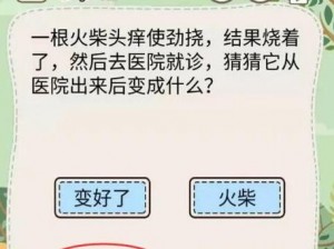 大妈游戏《灵魂拷问》第16关详细攻略及解答解析：实战教程破解灵魂拷问终极挑战