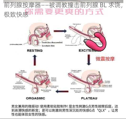 前列腺按摩器——被调教撞击前列腺 BL 求饶，极致快感