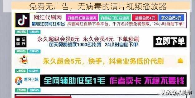 免费无广告，无病毒的潢片视频播放器