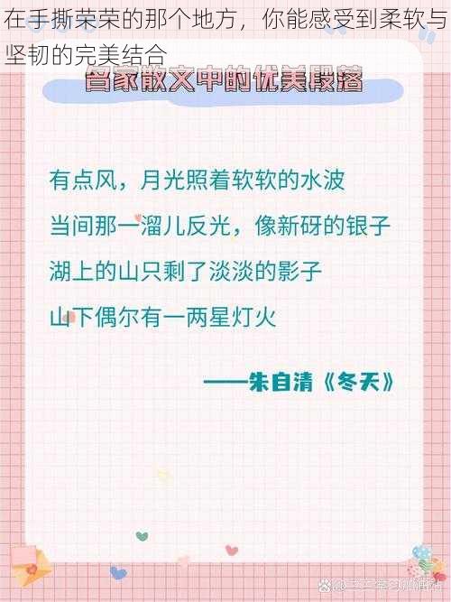 在手撕荣荣的那个地方，你能感受到柔软与坚韧的完美结合