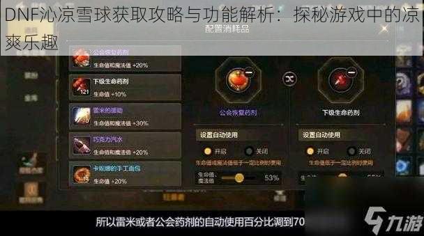 DNF沁凉雪球获取攻略与功能解析：探秘游戏中的凉爽乐趣