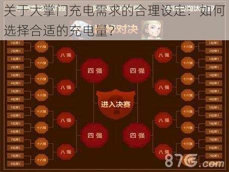 关于大掌门充电需求的合理设定：如何选择合适的充电量？