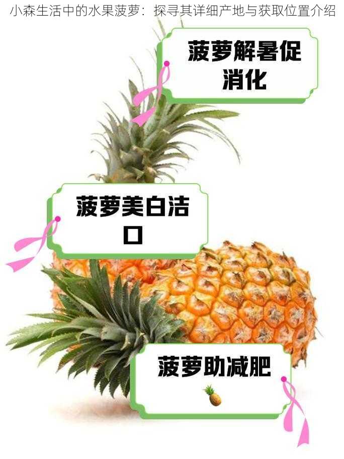 小森生活中的水果菠萝：探寻其详细产地与获取位置介绍