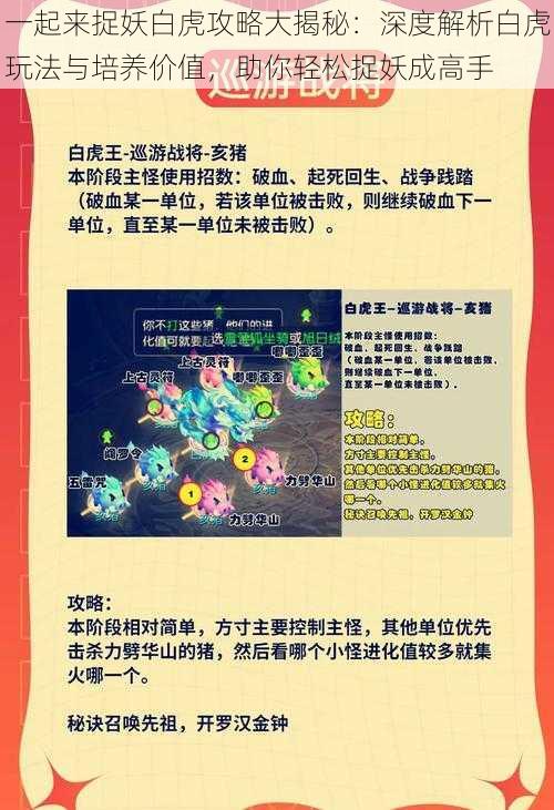 一起来捉妖白虎攻略大揭秘：深度解析白虎玩法与培养价值，助你轻松捉妖成高手